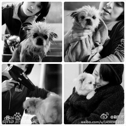 最全孙俪(Sun Li)精彩图册