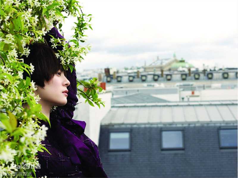 最全孙俪(Sun Li)精彩图册