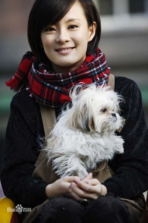 最全孙俪(Sun Li)精彩图册