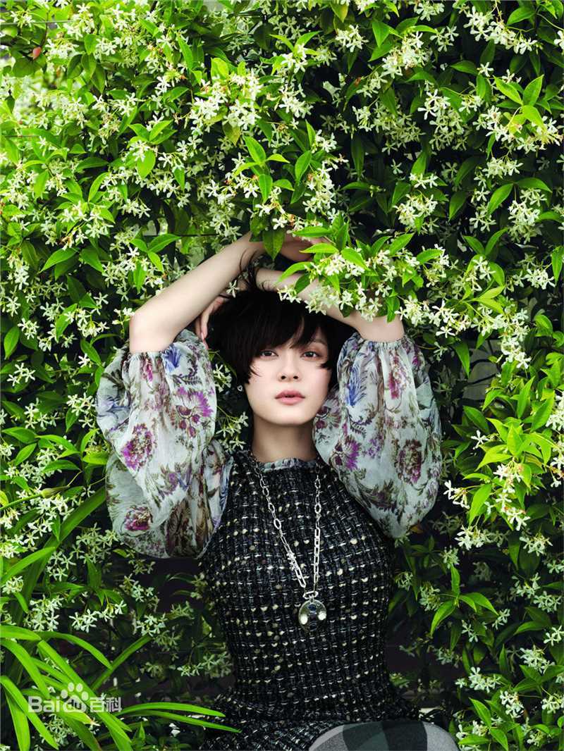 最全孙俪(Sun Li)精彩图册