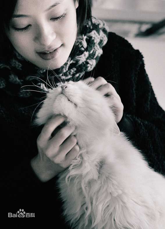 最全孙俪(Sun Li)精彩图册