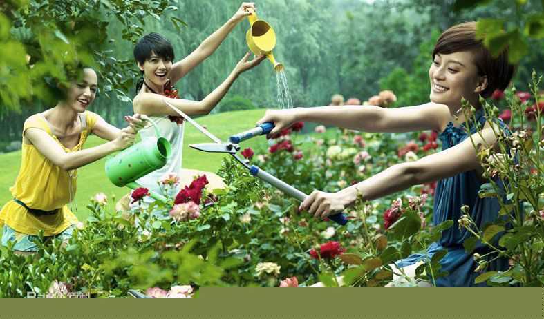 最全孙俪(Sun Li)精彩图册