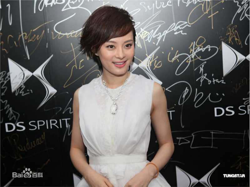 最优质孙俪(Sun Li)精彩图册