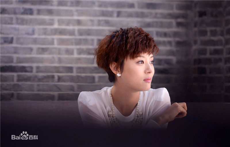 孙俪(Sun Li)辣妈正传图片图册