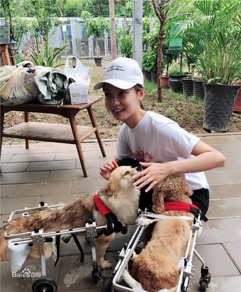 林源“北京领养日”的宣传大使图片图集