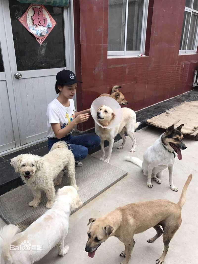 林源“北京领养日”的宣传大使图片图集