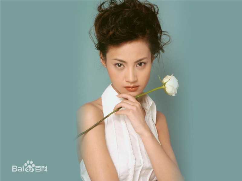 杨雪高清集图集