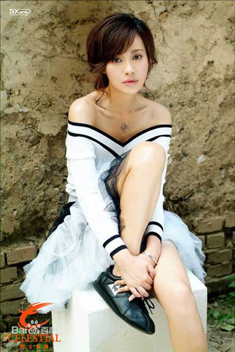 杨雪宣传照壁纸壁纸