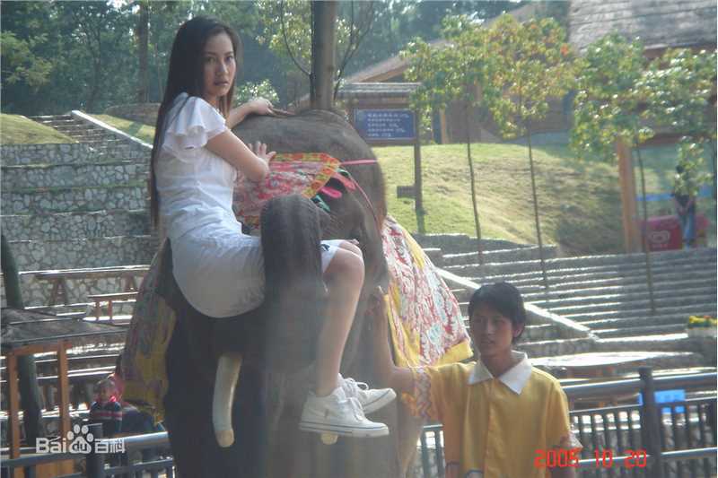 杨雪2006年《直插金三角》最新剧照