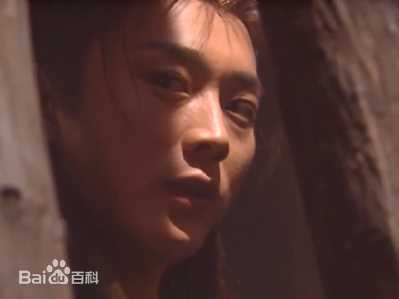 沈晓海【海角】宁王朱宸濠图册