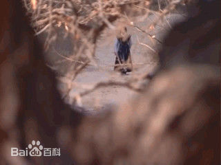 沈晓海【海角】金光宗主、傅玉书、梁秉文、曹达壁纸壁纸