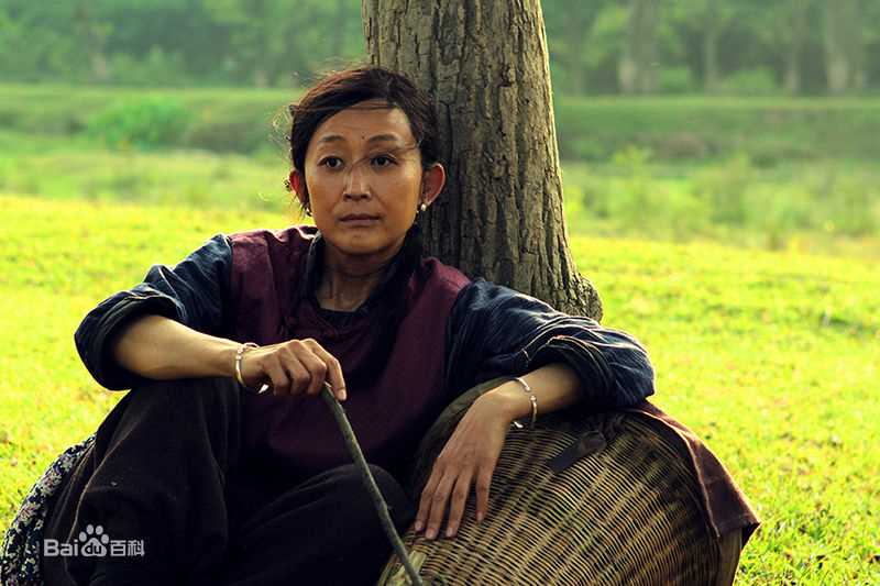 陈谨陈瑾作品最全剧照