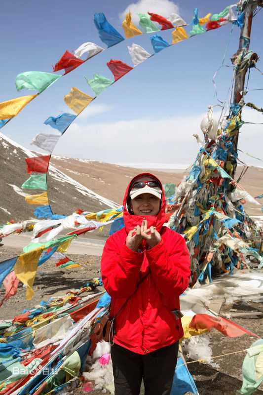 最新陈谨陈瑾精彩图册