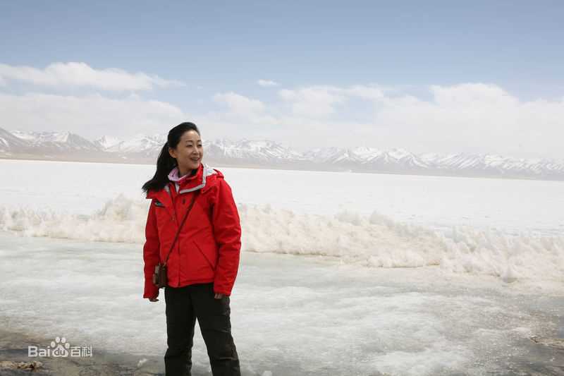 最新陈谨陈瑾精彩图册