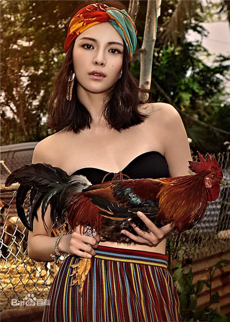 钟楚曦(Elaine Zhong)最新三图集