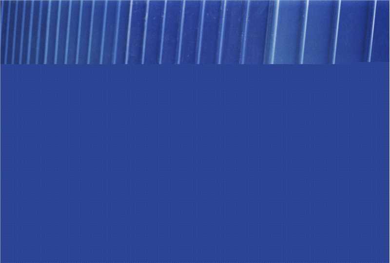 钟楚曦(Elaine Zhong)精选四图册