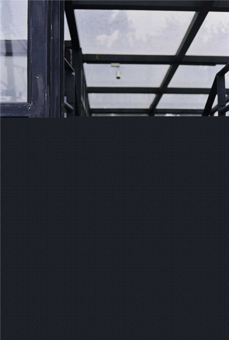 钟楚曦(Elaine Zhong)精选四图册