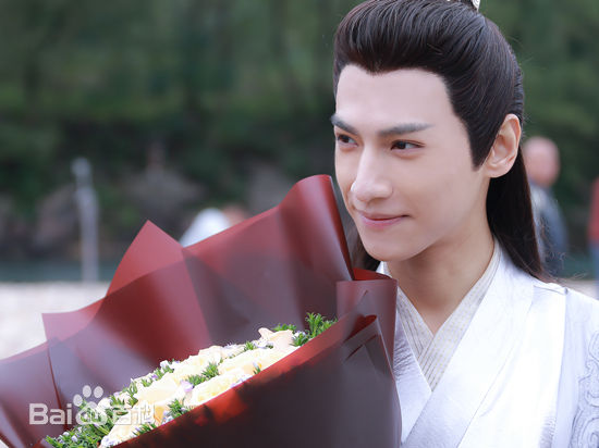 最全罗云熙(Leo)在《香蜜沉沉烬如霜》饰演润玉中的壁纸