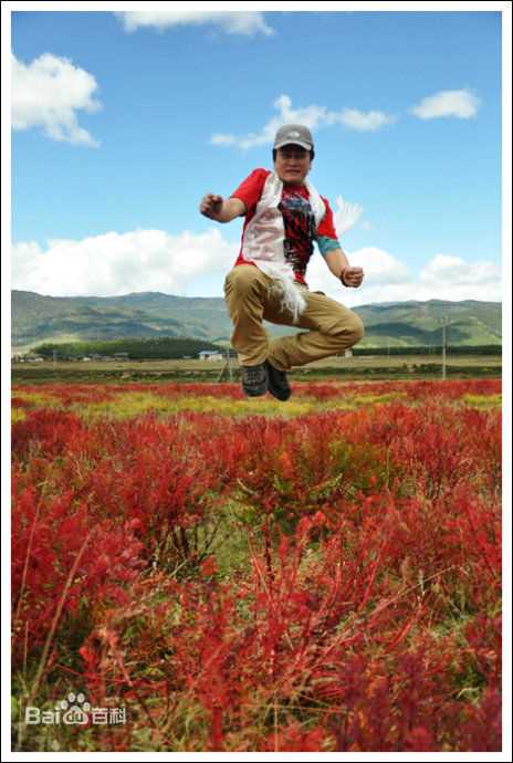 李承鹏(LiChengpeng)外出旅游照片壁纸壁纸