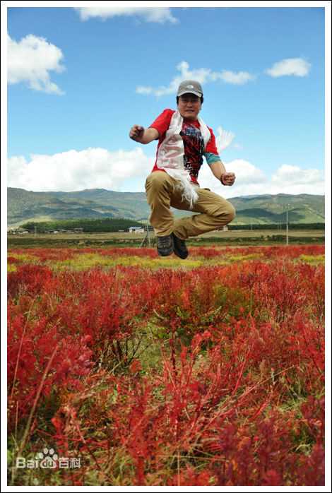 最全李承鹏(LiChengpeng)精彩图册