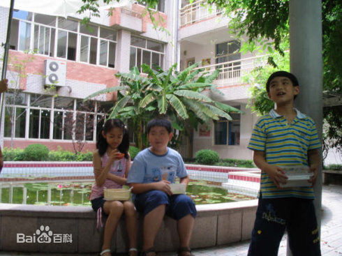 汤梦佳(Melody Tang)生活照壁纸壁纸