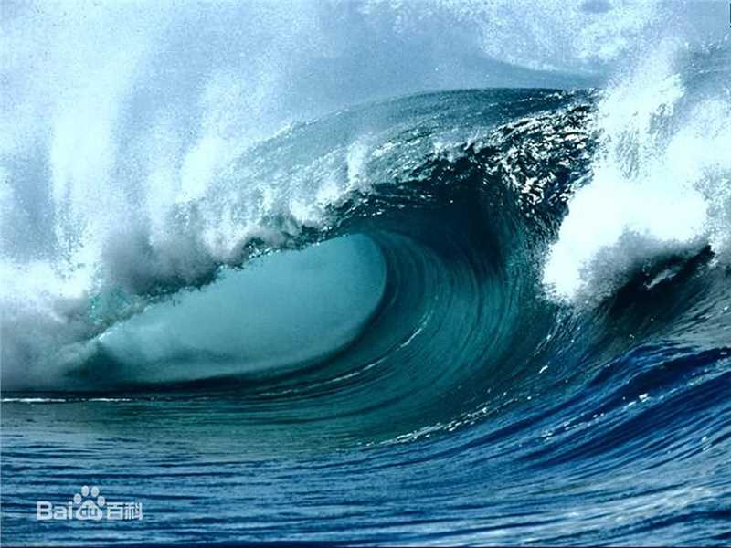 《秦怡》封面图片