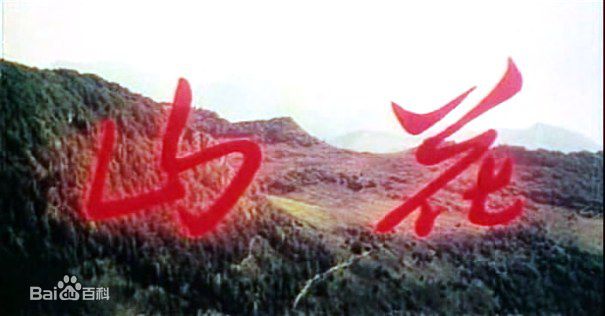 《谢芳》封面图片