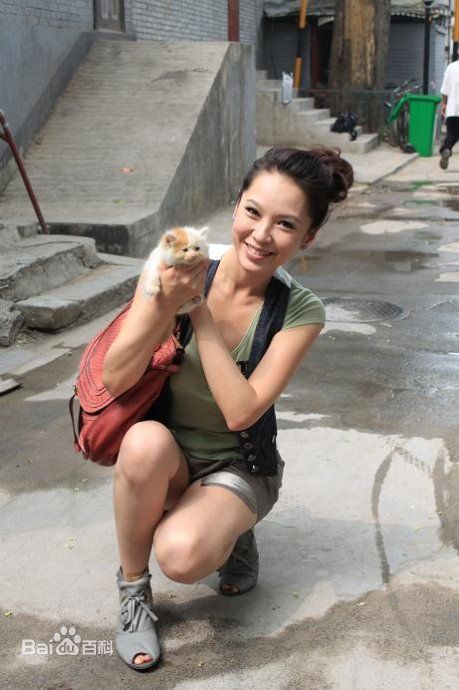 天心(Tien Hsin)旅游节目壁纸壁纸