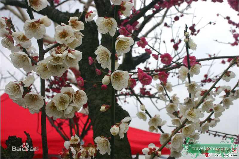 李李仁精彩图册