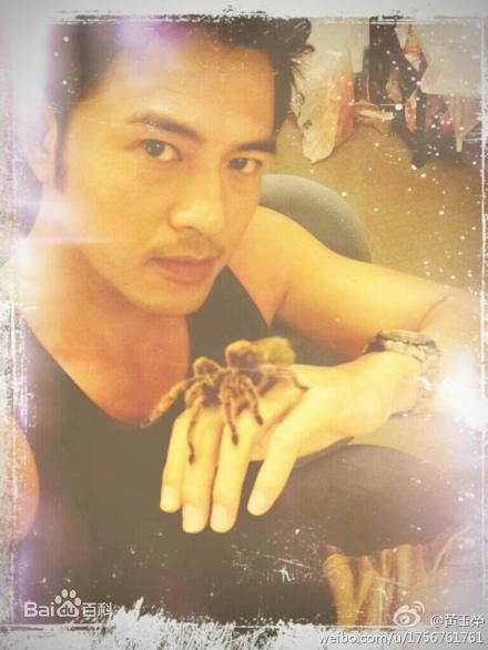 黄玉荣(Ehlo)近照图册