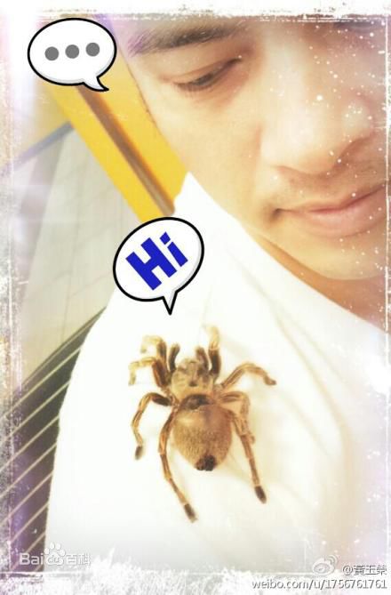 黄玉荣(Ehlo)近照图册