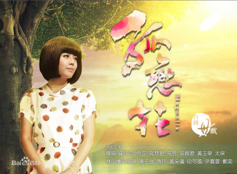 《亮哲》封面图片