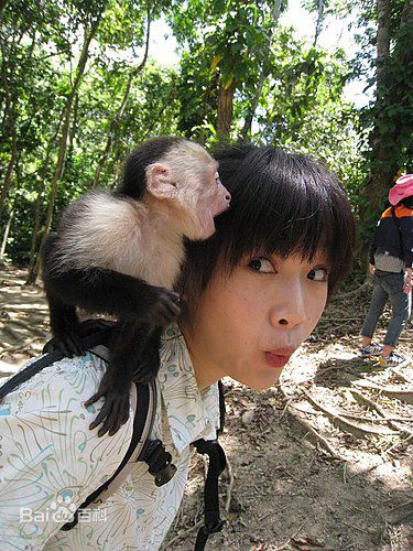 《李佳豫》精彩图册