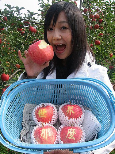 《李佳豫》精彩图册