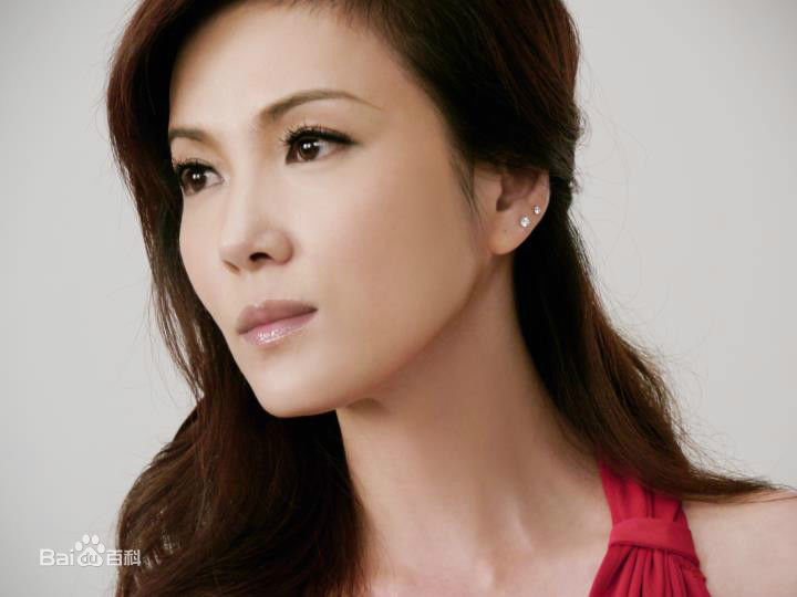 《丁国琳》封面图片