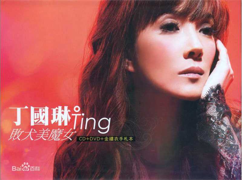《丁国琳》封面图片