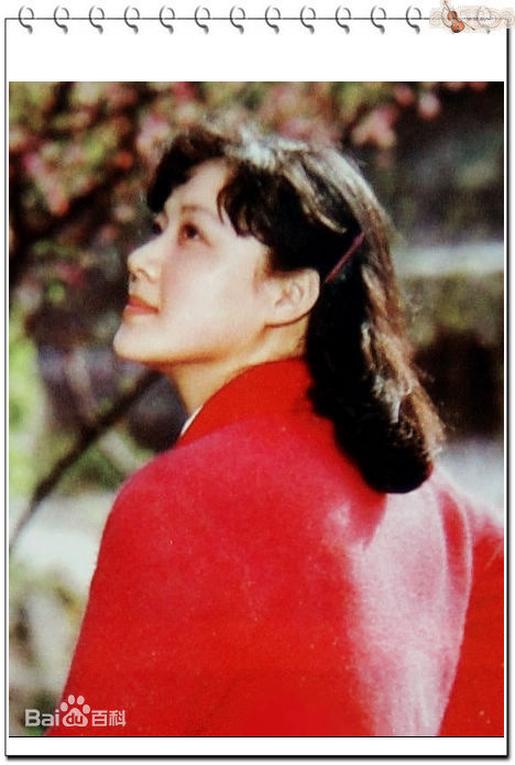 吴竞电视作品集