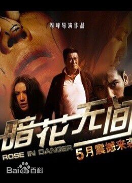 最优质张大雷(david)生活照