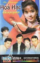 《傅娟》封面图片