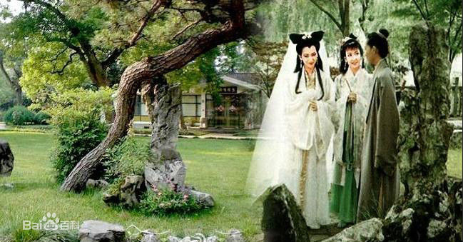 《阮虔芷》封面图片