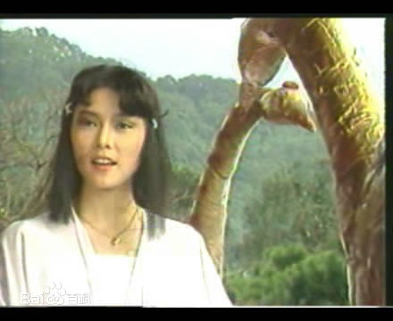 《新月传奇》剧照