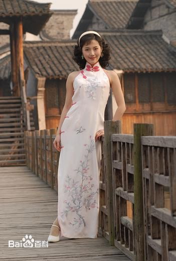 《蒋林珊》封面图片