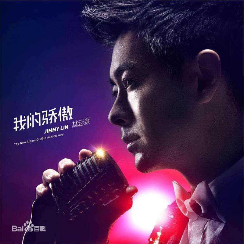 林志颖(Jimmy Lin)前后照片