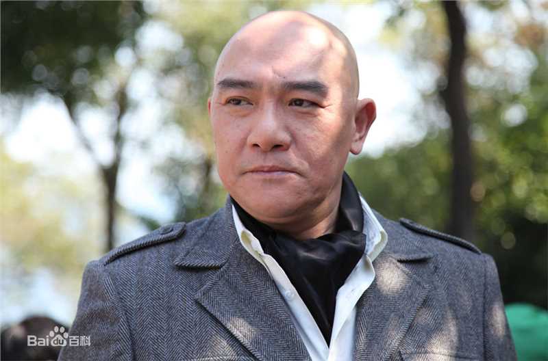 《王绘春》封面图片