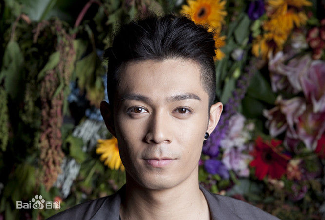 周柏豪(Pakho，Chau Pak Ho)前后照片