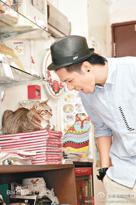 最优质周柏豪(Pakho，Chau Pak Ho)精彩图册