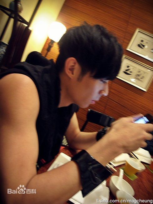 最优质周柏豪(Pakho，Chau Pak Ho)精彩图册