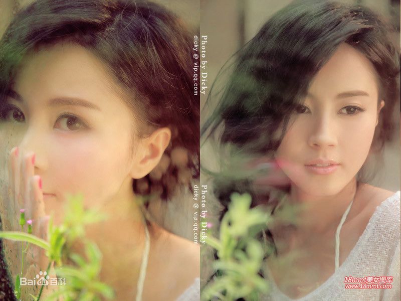 傅颖(Theresa Fu)精选新书《在摩天轮上》配图图册