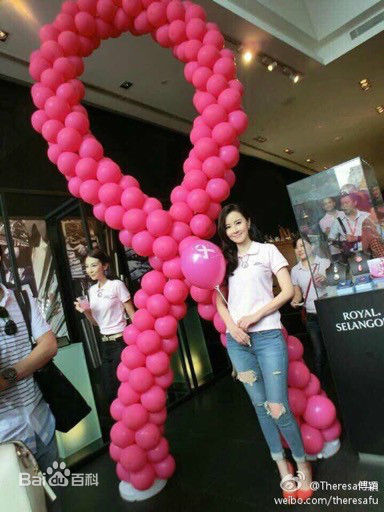 傅颖(Theresa Fu)图册图册