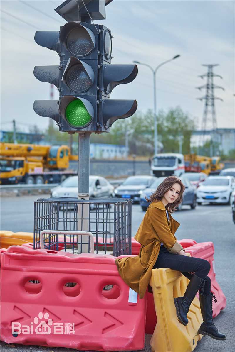 傅颖(Theresa Fu)高清图册